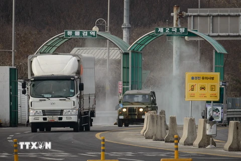 Ôtô di chuyển tại khu công nghiệp chung Kaesong. (Nguồn: AFP/TTXVN)