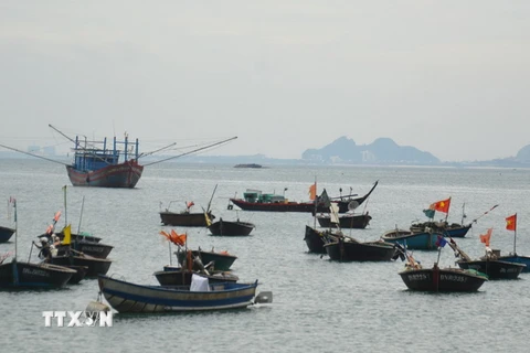 Tàu công suất nhỏ neo đậu tại bờ biển Sơn Trà, phường Thọ Quang (Đà Nẵng). (Ảnh: Đinh Văn Nhiều/TTXVN)