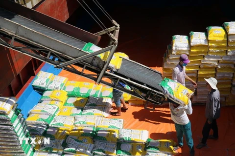 Chế biến gạo xuất khẩu tại Công ty Cổ phần Xuất nhập khẩu Kiên Giang. (Ảnh: Lê Huy Hải/TTXVN)