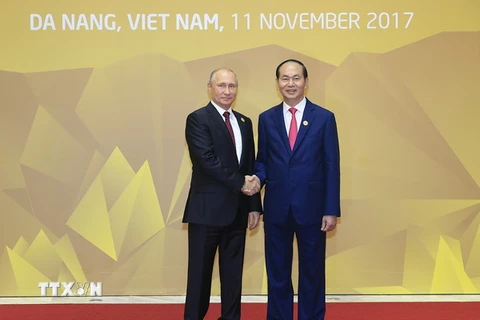 Chủ tịch nước Trần Đại Quang đón Tổng thống Nga Vladimir Putin đến dự Hội nghị APEC. (Ảnh: TTXVN)