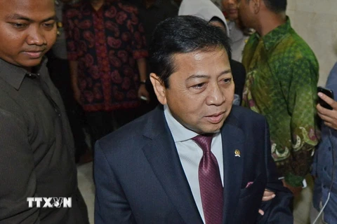 Chủ tịch Hạ viện Indonesia Setya Novanto. (Nguồn: AFP/TTXVN)