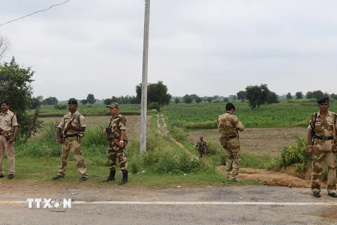 Lực lượng an ninh Ấn Độ gác tại khu vực Rohtak. (Nguồn: AFP/TTXVN)