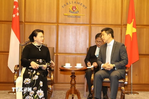 Chủ tịch Quốc hội Nguyễn Thị Kim Ngân hội đàm với Chủ tịch Quốc hội Cộng hòa Singapore Tan Chuan Jin. (Ảnh: Trọng Đức/TTXVN)
