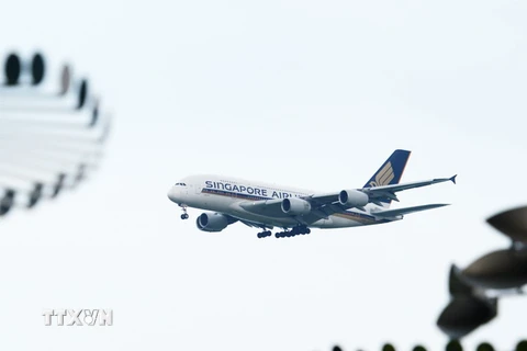 Máy bay của hãng hàng không Singapore Airlines chuẩn bị hạ cánh tại Singapore. (Nguồn: THX/TTXVN)