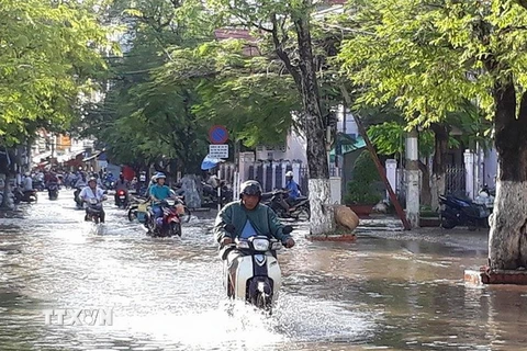 Triều cường dâng cao làm ngập nhiều tuyến đường nội ô thành phố Bạc Liêu. (Ảnh: Huỳnh Sử/TTXVN)