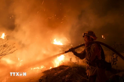 Nhân viên cứu hỏa dập lửa cháy rừng tại Santa Paula, Ventura, Mỹ. (Nguồn: THX/TTXVN)