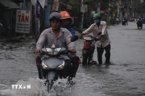 Người dân cố gắng điều khiển xe máy chạy qua đoạn ngập nước trên đường Lê Văn Lương, huyện Nhà Bè. (Ảnh: Xuân Dự/TTXVN) 