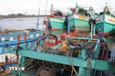 Tàu thuyền đánh bắt thủy sản vào tránh bão Tembin tại cửa biển Nhà Mát, thành phố Bạc Liêu. (Ảnh: Huỳnh Sử/TTXVN)