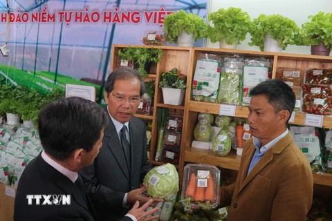 Lãnh đạo tỉnh Lâm Đồng đến tham quan các gian hàng trong Phiên chợ rau-hoa và Triển lãm nông nghiệp công nghệ cao. (Ảnh: Nguyễn Dũng/TTXVN)
