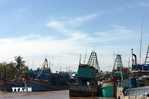 Tàu, thuyền tránh trú bão tại Cảng cá Bình Thắng, huyện Bình Đại, tỉnh Bến Tre. (Ảnh: Trần Thị Thu Hiền/TTXVN)
