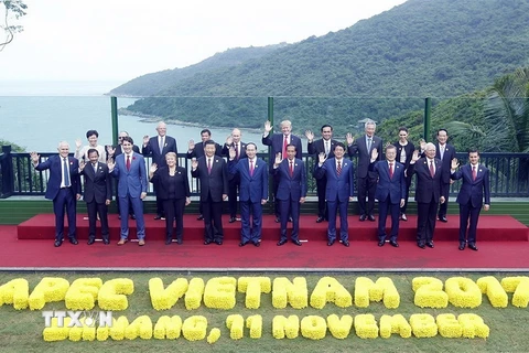 Chủ tịch nước Trần Đại Quang và các Trưởng đoàn dự Hội nghị các Nhà lãnh đạo Kinh tế APEC lần thứ 25 tại Đà Nẵng chụp ảnh chung. (Ảnh: TTXVN)