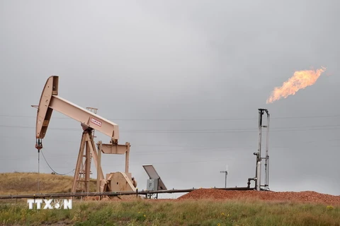 Hệ thống khai thác dầu mỏ gần Williston, North Dakota, Mỹ. (Nguồn: AFP/TTXVN)
