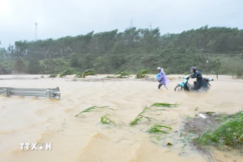 Quốc lộ 26 qua địa bàn tỉnh Đắk Lắk bị ngập nặng do cơn bão số 12. (Ảnh: Tuấn Anh/TTXVN)