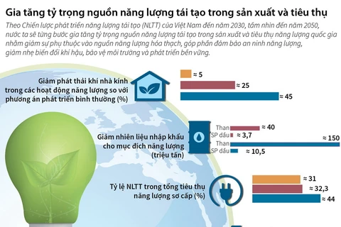 Việt Nam gia tăng tỷ trọng năng lượng tái tạo, cả sản xuất và tiêu thụ