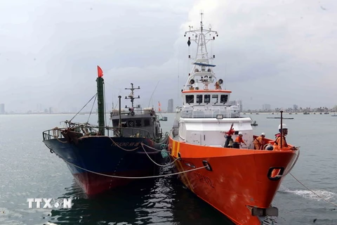 Tàu SAR 412 lai dắt tàu cá QB 91386 TS cùng 11 ngư dân bị nạn trên biển về bờ an toàn tại Đà Nẵng. (Ảnh: Trần Lê Lâm/TTXVN)