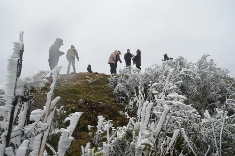 Đông đảo người dân và du khách kéo lên Khu du lịch Mẫu Sơn xem băng tuyết. (Ảnh: Hoàng Nam/TTXVN)