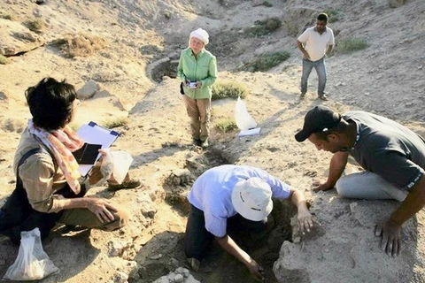 Các nhà nghiên cứu tìm kiếm cổ vật ở Iraq. (Nguồn: AFP)