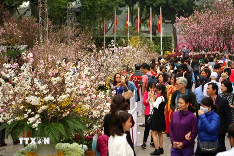 Đông đảo người dân tới thưởng lãm để lưu lại những khoảnh khắc đẹp nhất bên hoa anh đào giữa tiết trời Xuân của Thủ đô Hà Nộị. (Ảnh: Thanh Tùng/TTXVN)