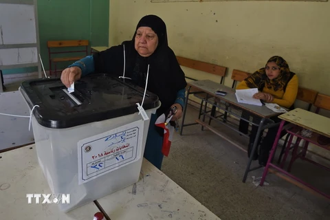 Cử tri Ai Cập bỏ phiếu tại điểm bầu cử ở Cairo. (Nguồn: AFP/TTXVN)