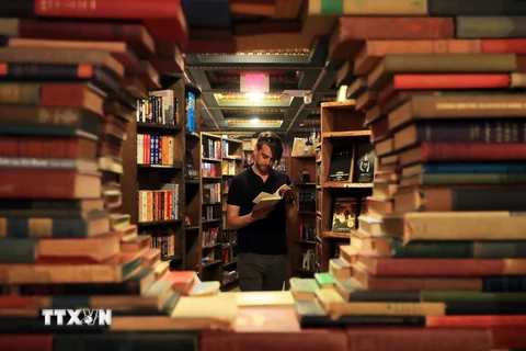 Người dân đọc sách tại một hiệu sách ở Los Angeles, Mỹ. (Nguồn: THX/TTXVN)