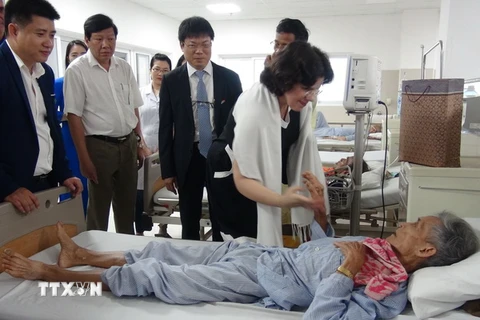Đại sứ Cuba tại Việt Nam thăm bệnh nhân tại Bệnh viện Việt Nam Cuba Đồng Hới, Quảng Bình. (Ảnh: Đức Thọ/TTXVN)