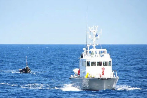 Tàu tuần tra bảo vệ bờ biển Nhật Bản lai dắt một chiếc thuyền cá Triều Tiên. (Nguồn: Reuters)