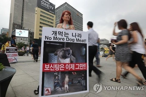 Một nhà hoạt động cầm biểu ngữ kêu gọi người dân Hàn Quốc dừng ăn thịt chó. (Nguồn: Yonhap)