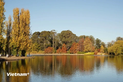 Công viên Commonwealth sát bên hồ Burley Griffin. (Ảnh: Sao Băng/Vietnam+)