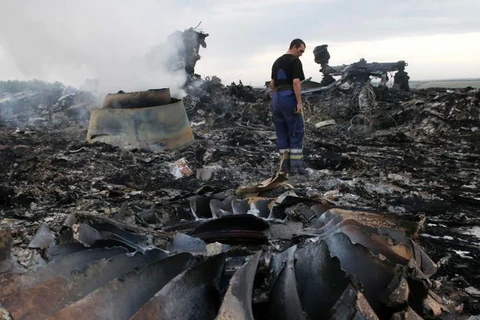 Hiện trường vụ máy bay MH17. (Nguồn: Reuters)