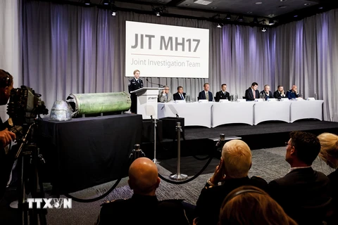 Những mảnh vỡ của chiếc máy bay xấu số MH17 ngày 19/7/2014. (Nguồn: AFP/TTXVN)