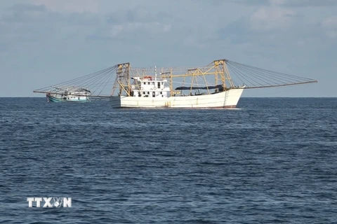 Bình Thuận hoàn thiện đội tàu công suất lớn, đánh bắt xa bờ. (Ảnh: Nguyễn Thanh/TTXVN)