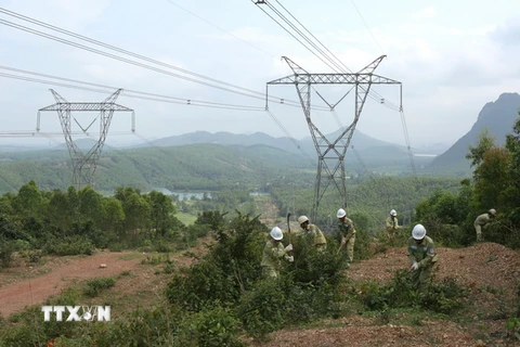 Kiểm tra, phát quang hành lang an toàn lưới điện 500kV trên địa bàn huyện Quảng Ninh, tỉnh Quảng Bình. (Ảnh: Ngọc Hà/TTXVN)