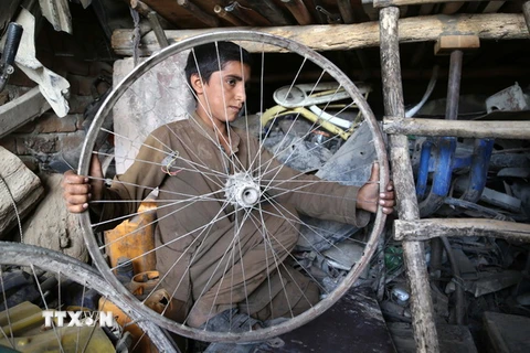 Trẻ em Afghanistan lao động tại Jalalabad. (Nguồn: EPA/TTXVN)