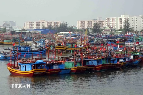 Tàu thuyền các tỉnh, thành phố về neo đậu tránh áp thấp nhiệt đới tại Âu thuyền Thọ Quang (Đà Nẵng). (Ảnh: Trần Lê Lâm/TTXVN)