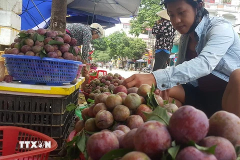 Sạp bán mận Tam Hoa. (Ảnh: Hương Thu/TTXVN)