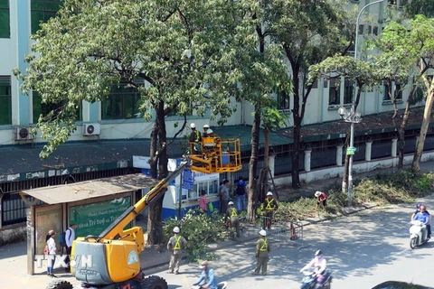 Công nhân Công ty Công viên cây xanh Hà Nội cắt tỉa cây trên đường Trần Duy Hưng. (Ảnh: Huy Hùng/TTXVN)