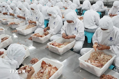 Chế biến hải sản xuất khẩu tại nhà máy ở thành phố Liên Vận Cảng, tỉnh Giang Tô, Trung Quốc. (Nguồn: AFP/TTXVN)