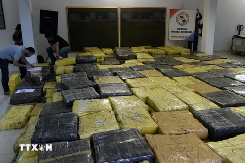Cảnh sát Paraguay trưng bày số cần sa thu giữ trong các chiến dịch truy quét tội phạm ma túy ở Guayaibi. (Nguồn: AFP/TTXVN)