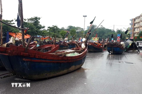 Hàng trăm bè, mảng được ngư dân kéo lên phố tránh bão. (Ảnh: Khiếu Tư/TTXVN)