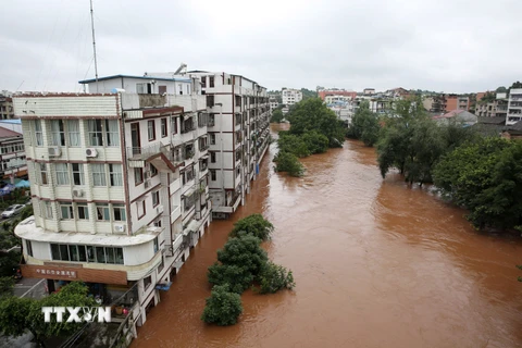 Cảnh ngập lụt tại Neijiang, tỉnh Tứ Xuyên. (Nguồn: THX/TTXVN)