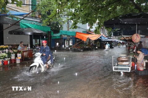 Chợ Phương Lâm, khu chợ lớn nhất thành phố Hòa Bình ngập sâu trong nước. (Ảnh: Nhan Sinh/TTXVN)