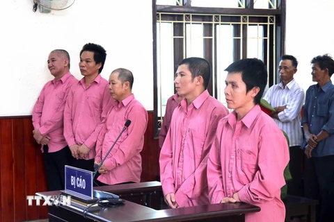 Các bị cáo trong vụ phá 64ha rừng tự nhiên ở huyện An Lão, tỉnh Bình Định. (Ảnh: Nguyên Linh/TTXVN)