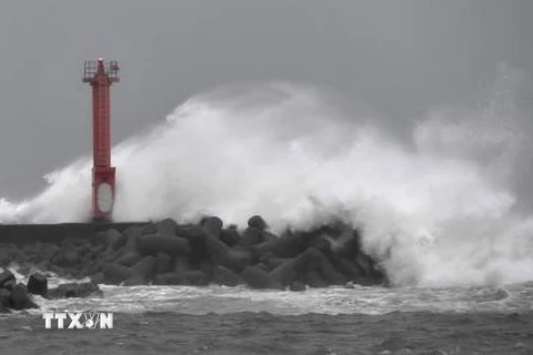 Sóng biển dâng cao khi bão Jongdari đổ bộ vào vùng biển tỉnh Chiba, Nhật Bản. (Nguồn: Kyodo/TTXVN)