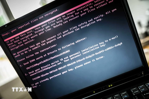 Một máy tính bị nhiễm mã độc. (Nguồn: EPA/TTXVN)
