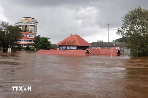 Ngập lụt do mưa lớn tại Idukki, bang Kerala. (Nguồn: THX/TTXVN)