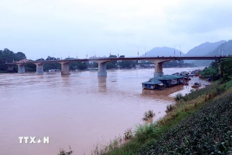 Nước lũ dâng cao trên sông Lô, địa phận thành phố Tuyên Quang. (Ảnh Quang Đán/TTXVN)