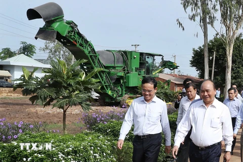 Thủ tướng Nguyễn Xuân Phúc đến thăm và làm việc tại nông trường TTC Thành Long 1. (Ảnh: Thống Nhất/TTXVN)