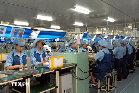 Công nhân sản xuất linh kiện điện tử tại Nhà máy Canon vốn đầu tư của Nhật Bản tại Khu Công nghiệp Phố Nối A. (Ảnh: Phạm Kiên/TTXVN)
