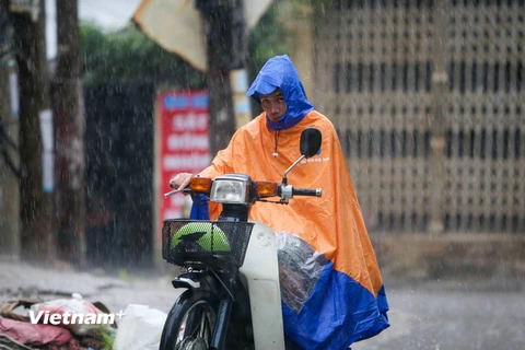 Ảnh chỉ có tính minh họa. (Ảnh: Lê Minh Sơn/Vietnam+)