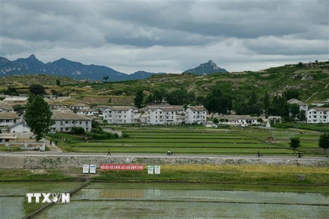 Quang cảnh thành phố Kaesong. (Nguồn: AFP/TTXVN)